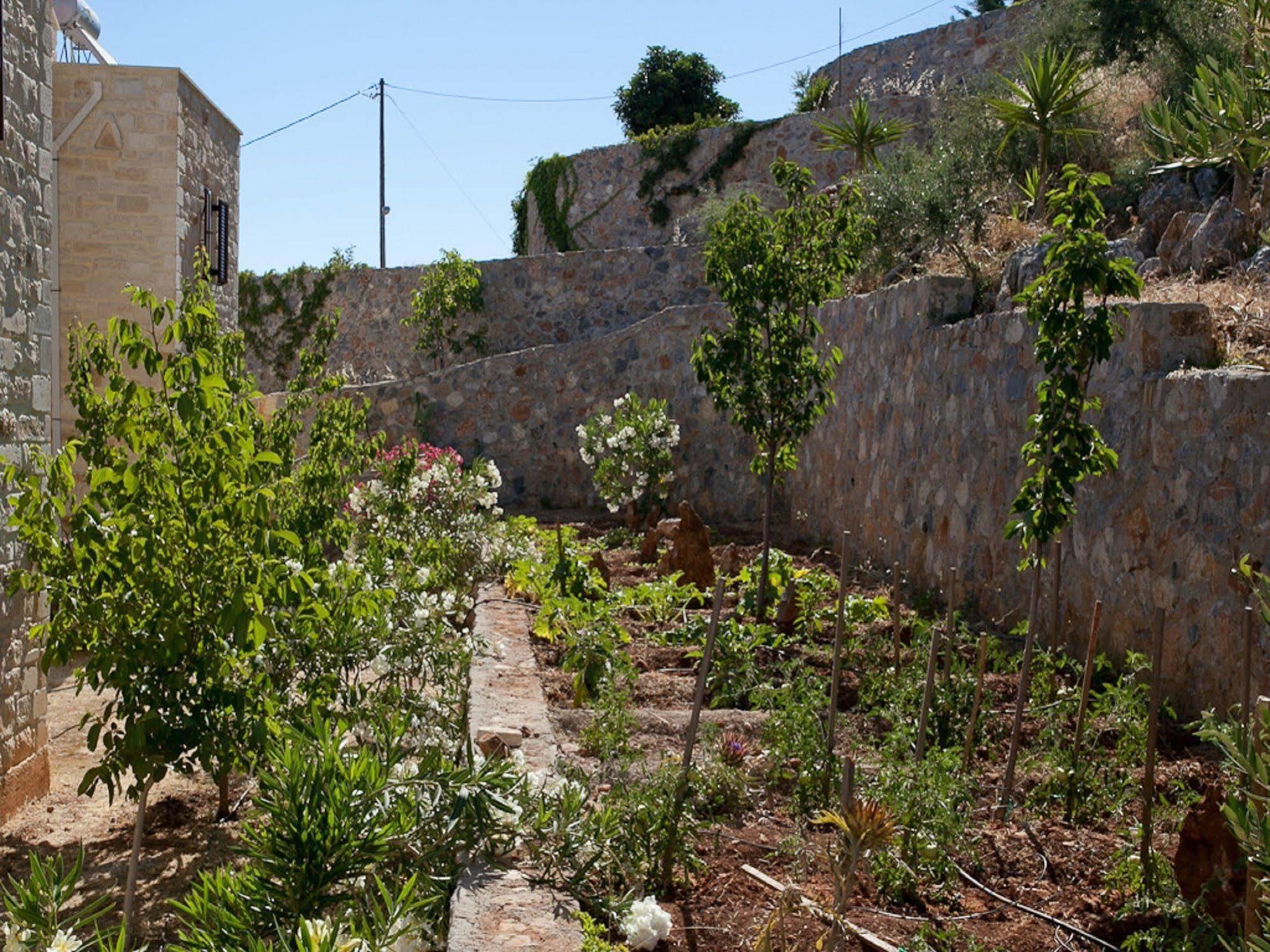 Villa Apollo - Saint George'S Retreat Village Kokkino Chorio Eksteriør bilde